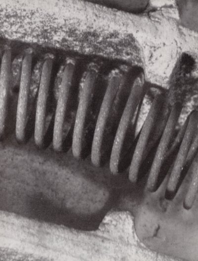 Filament d
