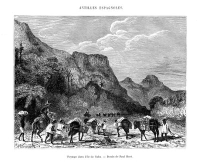 Paysage dans l