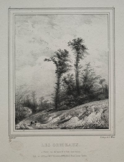 Paysages : Jeunes Ormes - Paul Huet