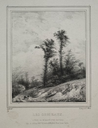 Paysages : Jeunes ormes - Paul Huet