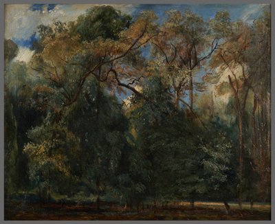 Les ormes de Saint-Cloud - Paul Huet