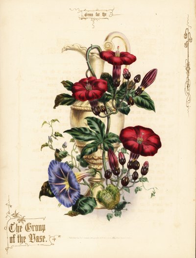 Bouquet d