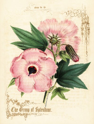 Fleurs et feuillage d