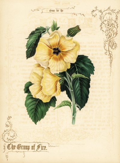 Fleurs et feuillage d