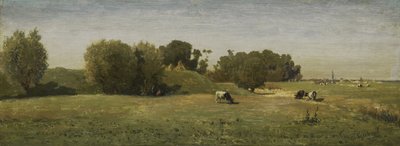 Paysage près d