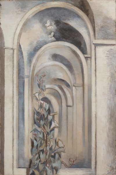 Convolvulus - Paul Nash