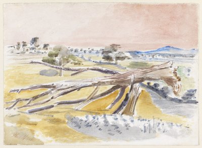 Champ de monstres, Étude II - Paul Nash
