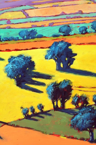 Chemin des Cotswolds (détail) - Paul Powis