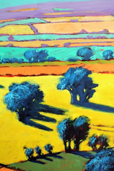 Cotswold Way gros plan 8 - Paul Powis