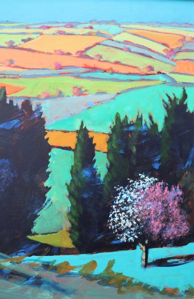 Gros plan de la floraison dans la vallée de Teme - Paul Powis