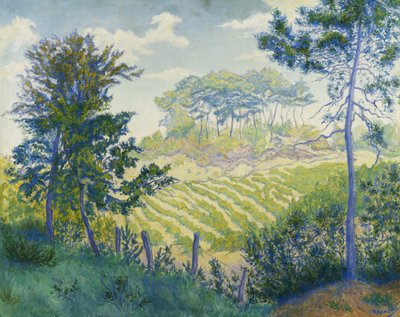 Les Vignobles sous les Pins, c. 1898 - Paul Elie Ranson