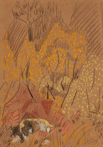 Paysage d