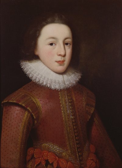 Portrait de Henry, Prince de Galles - Paul van Somer