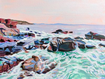 Une côte rocheuse pleine de vie - Pauline Wegman | Key and Sea Creative