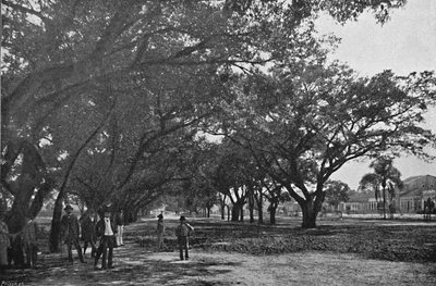 Avenida de Tiradentes, 1895 - Paulo Kowalsky