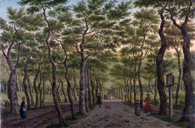 Le Herepad dans le Haagse Bos - Paulus Constantin La Fargue