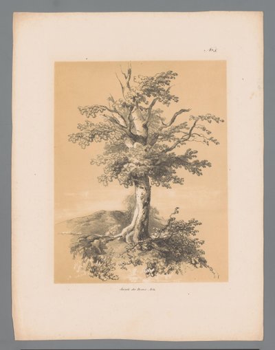 Arbre (Vues pittoresques par Paulus Lauters) - Paulus Lauters