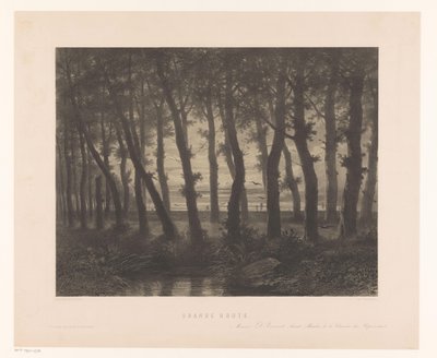 Paysage forestier avec oiseaux en vol - Paulus Lauters