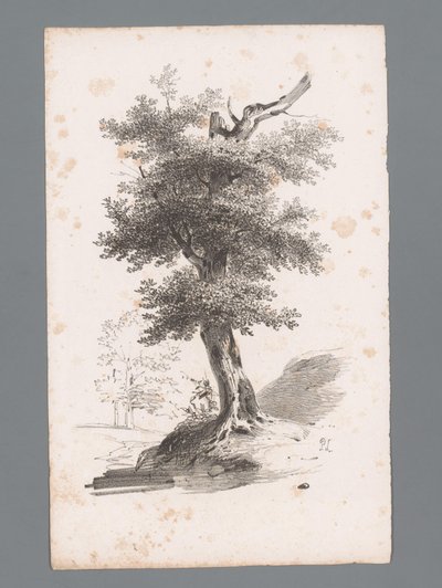 Paysage avec arbre - Paulus Lauters