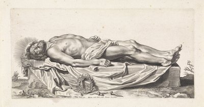 Corps du Christ mort - Paulus Pontius