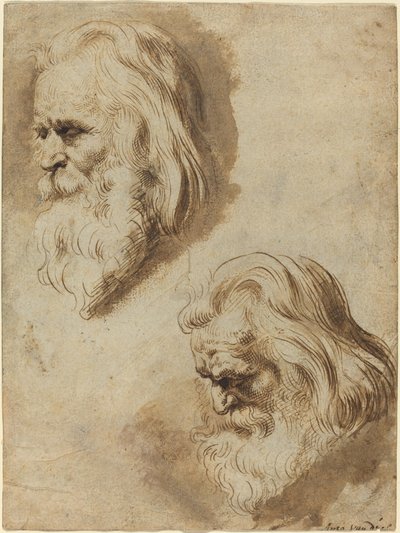 Deux études de la tête d