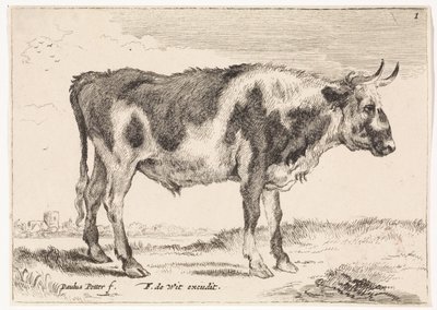 Bœuf tacheté - Paulus Potter (rejected attribution)