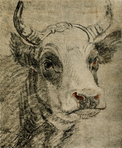 Étude d