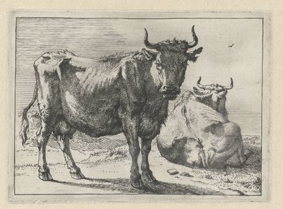 Une vache debout et une vache couchée - Paulus Potter