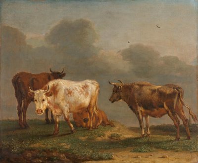 Quatre jeunes taureaux dans un pré - Paulus Potter