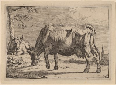 Vache en train de paître - Paulus Potter