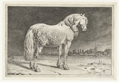 Le cheval frison (Paarden) - Paulus Potter