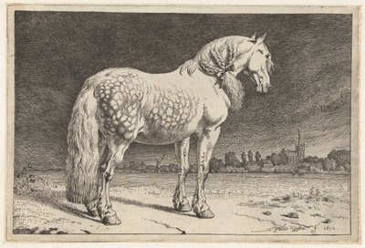 Le cheval frison - Paulus Potter