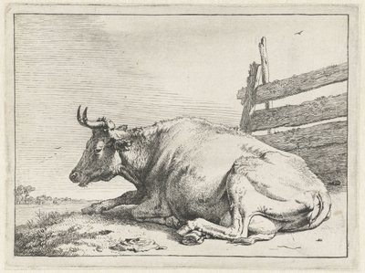 Vache couchée près d