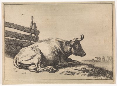Vache couchée près d