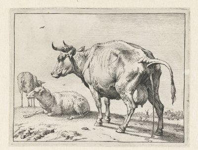 Vache urinant - Paulus Potter