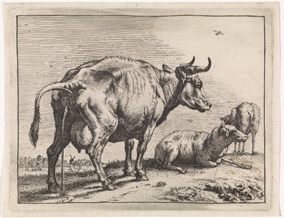 Vache urinant - Paulus Potter