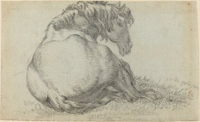 Cheval au repos - Paulus Potter