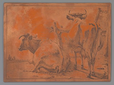 Vache debout et couchée, vue de dos - Paulus Potter