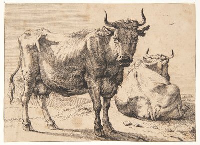 Vache debout et couchée - Paulus Potter