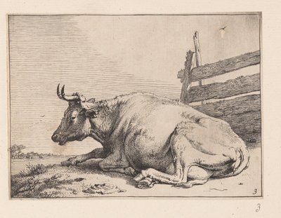 La vache couchée près d