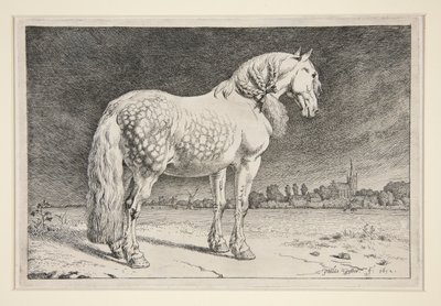 Le cheval frison - Paulus Potter