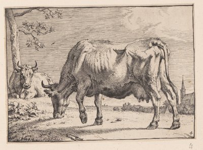 La vache en train de brouter, tirée de Différents bœufs et vaches - Paulus Potter