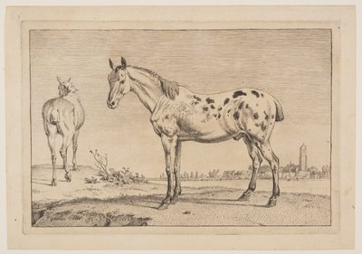 Le cheval hennissant, extrait de la série des chevaux - Paulus Potter