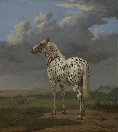 Le cheval pie - Paulus Potter