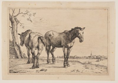 Le cheval de labour, extrait de la série des chevaux - Paulus Potter