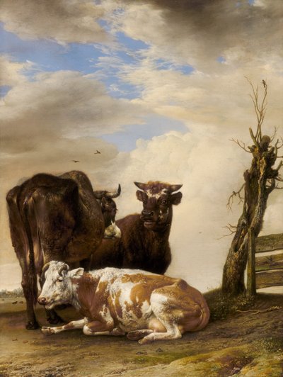 Deux vaches et un jeune taureau près d