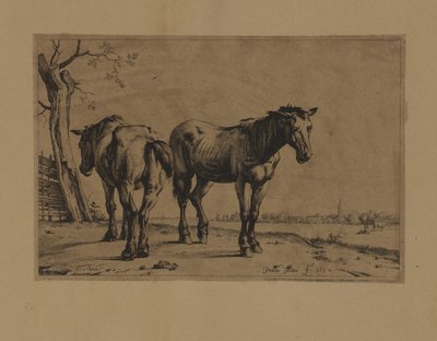 Deux chevaux - Paulus Potter