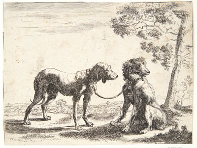 Deux chiens attachés ensemble - Paulus van Hillegaert (II)