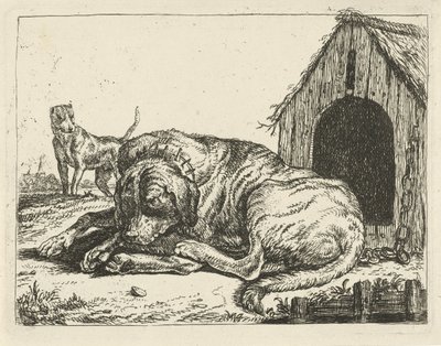 Chien allongé enchaîné, Divers chiens (titre de la série) - Pauwels van Hillegaert