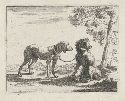 Deux chiens - Pauwels van Hillegaert